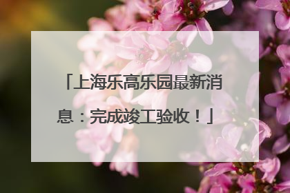 上海乐高乐园最新消息：完成竣工验收！