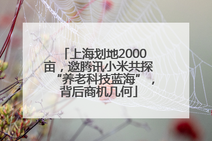 上海划地2000亩，邀腾讯小米共探“养老科技蓝海”，背后商机几何