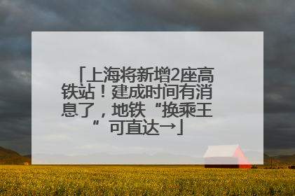 上海将新增2座高铁站！建成时间有消息了，地铁“换乘王”可直达→