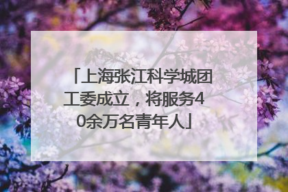 上海张江科学城团工委成立，将服务40余万名青年人