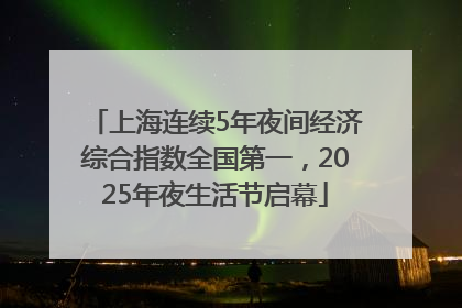 上海连续5年夜间经济综合指数全国第一，2025年夜生活节启幕