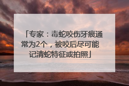 专家：毒蛇咬伤牙痕通常为2个，被咬后尽可能记清蛇特征或拍照