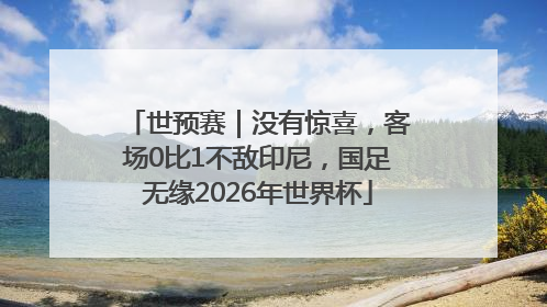 世预赛｜没有惊喜，客场0比1不敌印尼，国足无缘2026年世界杯
