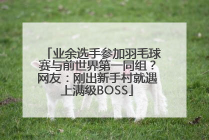 业余选手参加羽毛球赛与前世界第一同组？网友：刚出新手村就遇上满级BOSS