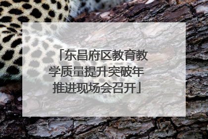 东昌府区教育教学质量提升突破年推进现场会召开