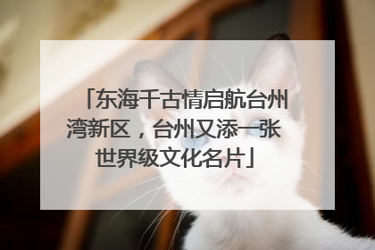 东海千古情启航台州湾新区，台州又添一张世界级文化名片