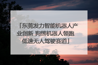 东莞发力智能机器人产业创新 狗熊机器人领跑低速无人驾驶赛道