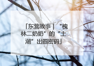 东营故事｜“槐林二奶奶”的“土潮”出圈密码
