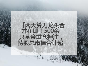 两大算力龙头合并在即！500余只基金重仓押注，持股总市值合计超380亿元