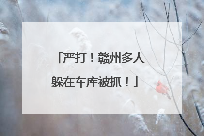 严打！赣州多人躲在车库被抓！