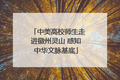 中美高校师生走进徽州灵山 感知中华文脉基底