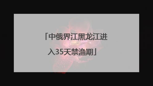 中俄界江黑龙江进入35天禁渔期