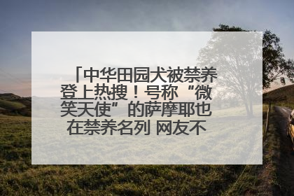 中华田园犬被禁养登上热搜！号称“微笑天使”的萨摩耶也在禁养名列 网友不解西安多部门回应