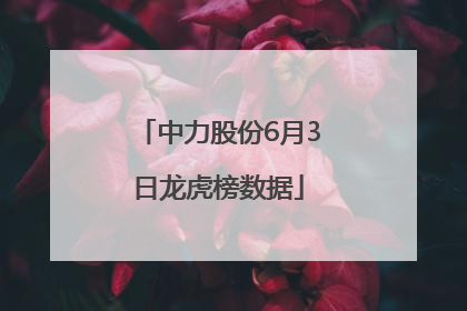 中力股份6月3日龙虎榜数据