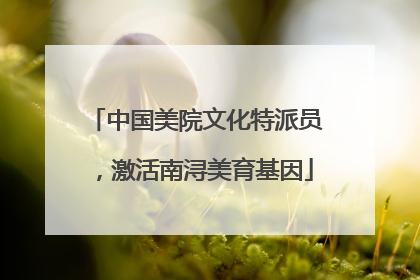 中国美院文化特派员，激活南浔美育基因