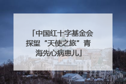 中国红十字基金会探望“天使之旅”青海先心病患儿