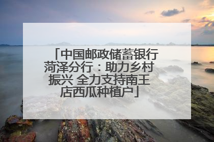 中国邮政储蓄银行菏泽分行：助力乡村振兴 全力支持南王店西瓜种植户