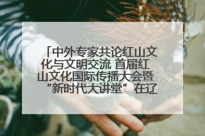 中外专家共论红山文化与文明交流 首届红山文化国际传播大会暨“新时代大讲堂”在辽宁朝阳举办