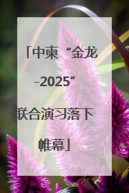 中柬“金龙-2025”联合演习落下帷幕