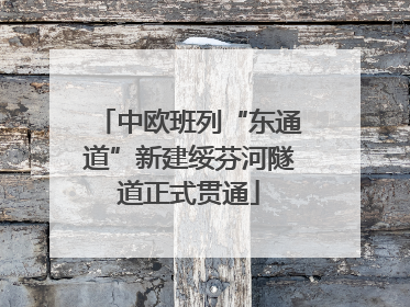 中欧班列“东通道”新建绥芬河隧道正式贯通