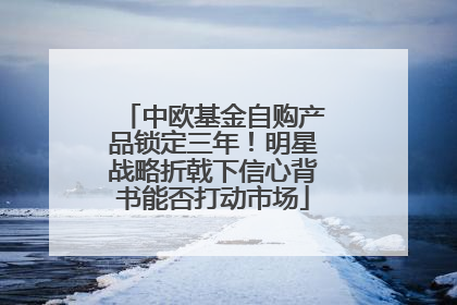 中欧基金自购产品锁定三年！明星战略折戟下信心背书能否打动市场