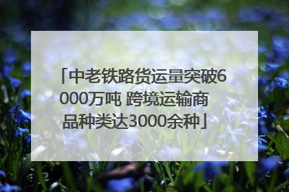 中老铁路货运量突破6000万吨 跨境运输商品种类达3000余种