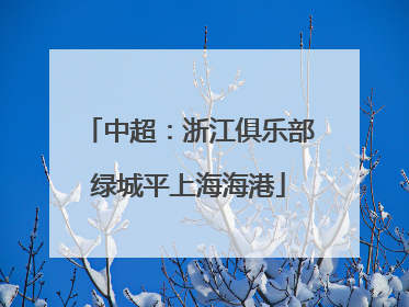 中超：浙江俱乐部绿城平上海海港