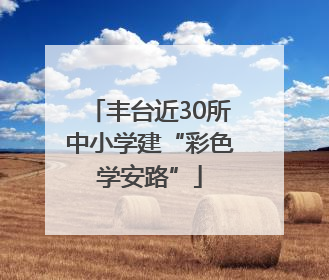 丰台近30所中小学建“彩色学安路”