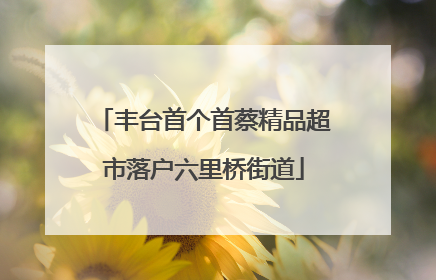 丰台首个首蔡精品超市落户六里桥街道