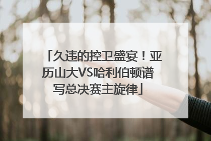 久违的控卫盛宴！亚历山大VS哈利伯顿谱写总决赛主旋律