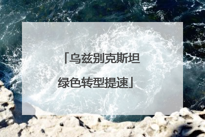 乌兹别克斯坦绿色转型提速