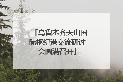 乌鲁木齐天山国际枢纽港交流研讨会圆满召开