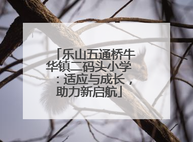 乐山五通桥牛华镇二码头小学：适应与成长，助力新启航