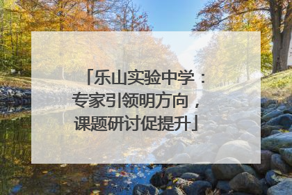 乐山实验中学：专家引领明方向，课题研讨促提升