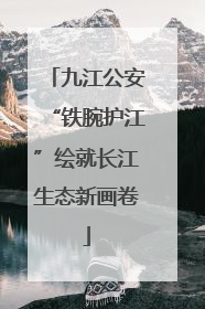 九江公安“铁腕护江”绘就长江生态新画卷