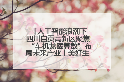 人工智能浪潮下 四川自贡高新区聚焦“车机龙医算数”布局未来产业丨美好生活有“盐”味