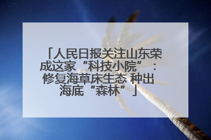 人民日报关注山东荣成这家“科技小院”：修复海草床生态 种出海底“森林”