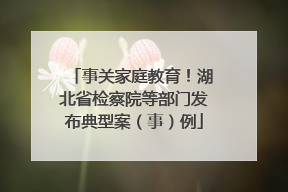事关家庭教育！湖北省检察院等部门发布典型案（事）例