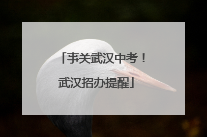 事关武汉中考！武汉招办提醒