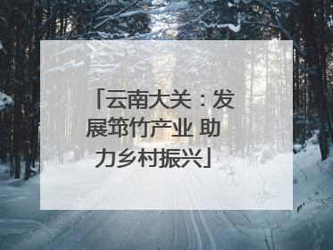 云南大关：发展筇竹产业 助力乡村振兴