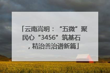 云南嵩明：“五微”聚民心“3456”筑基石，精治善治谱新篇