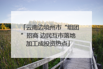 云南边境州市“组团”招商 边民互市落地加工成投资热点