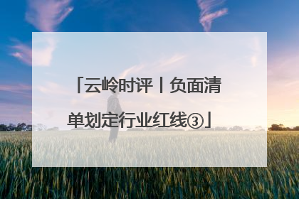 云岭时评丨负面清单划定行业红线③