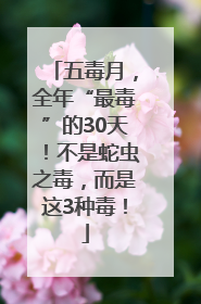 五毒月，全年“最毒”的30天！不是蛇虫之毒，而是这3种毒！
