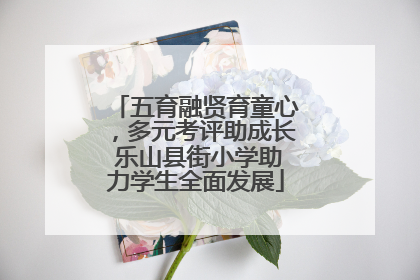 五育融贤育童心，多元考评助成长 乐山县街小学助力学生全面发展