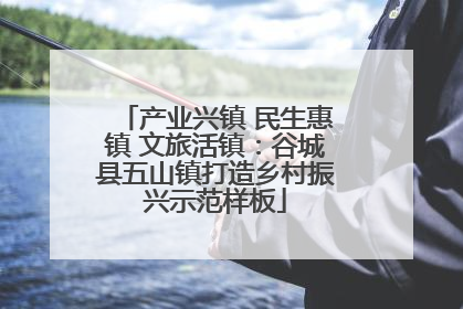 产业兴镇 民生惠镇 文旅活镇：谷城县五山镇打造乡村振兴示范样板