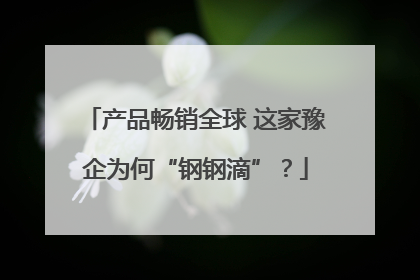 产品畅销全球 这家豫企为何“钢钢滴”？