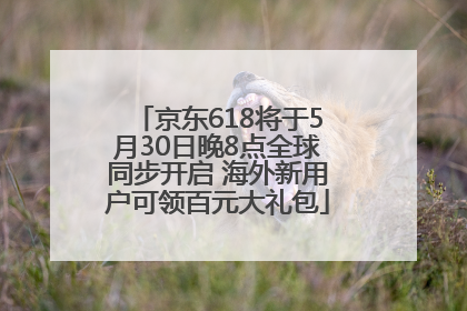 京东618将于5月30日晚8点全球同步开启 海外新用户可领百元大礼包