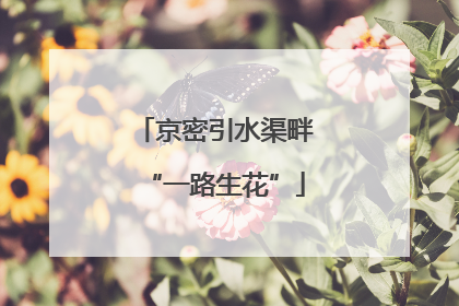 京密引水渠畔“一路生花”