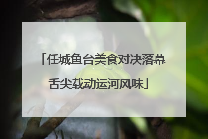 任城鱼台美食对决落幕 舌尖载动运河风味